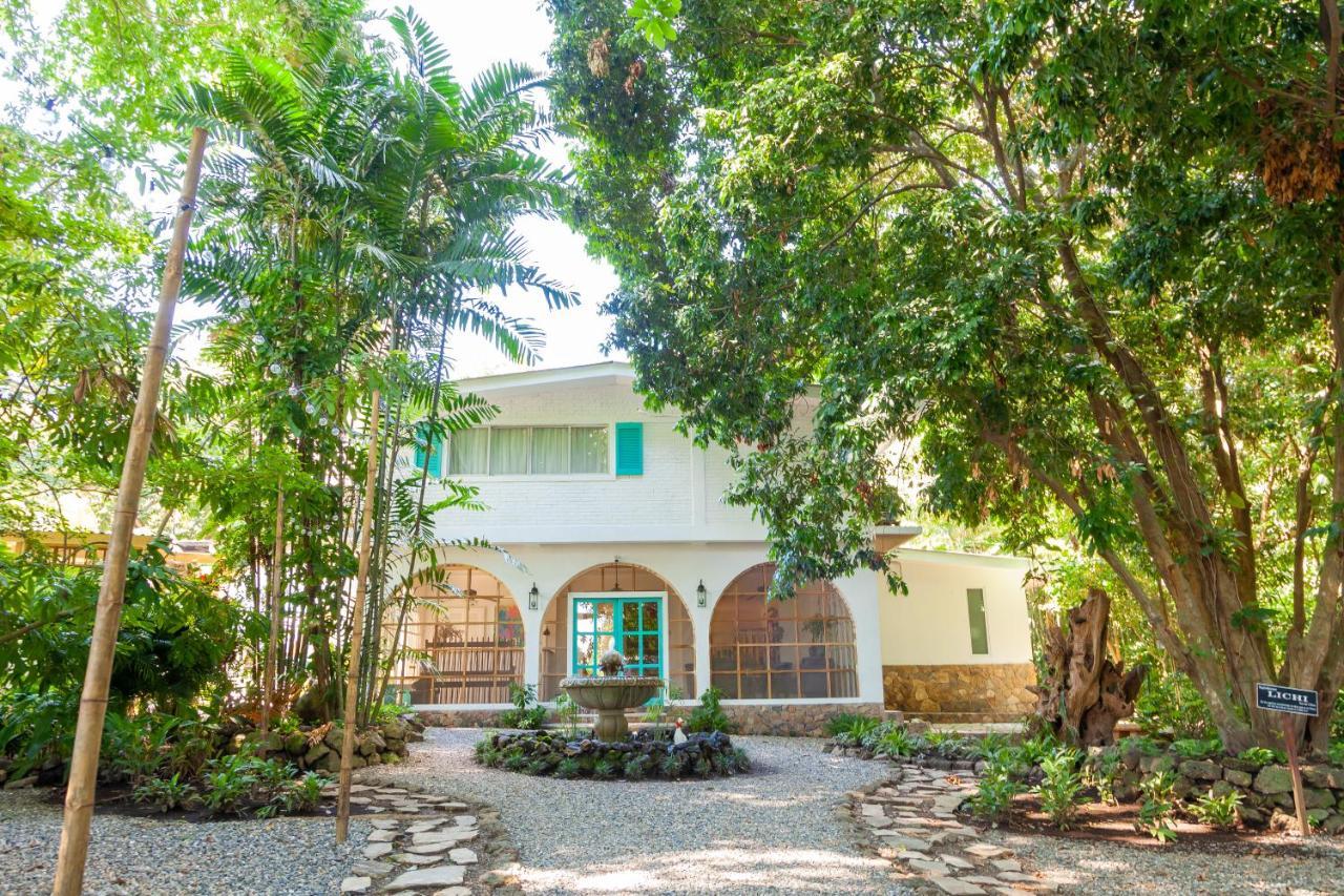 Angeli Gardens Boutique Hotel San Pedro Sula Esterno foto